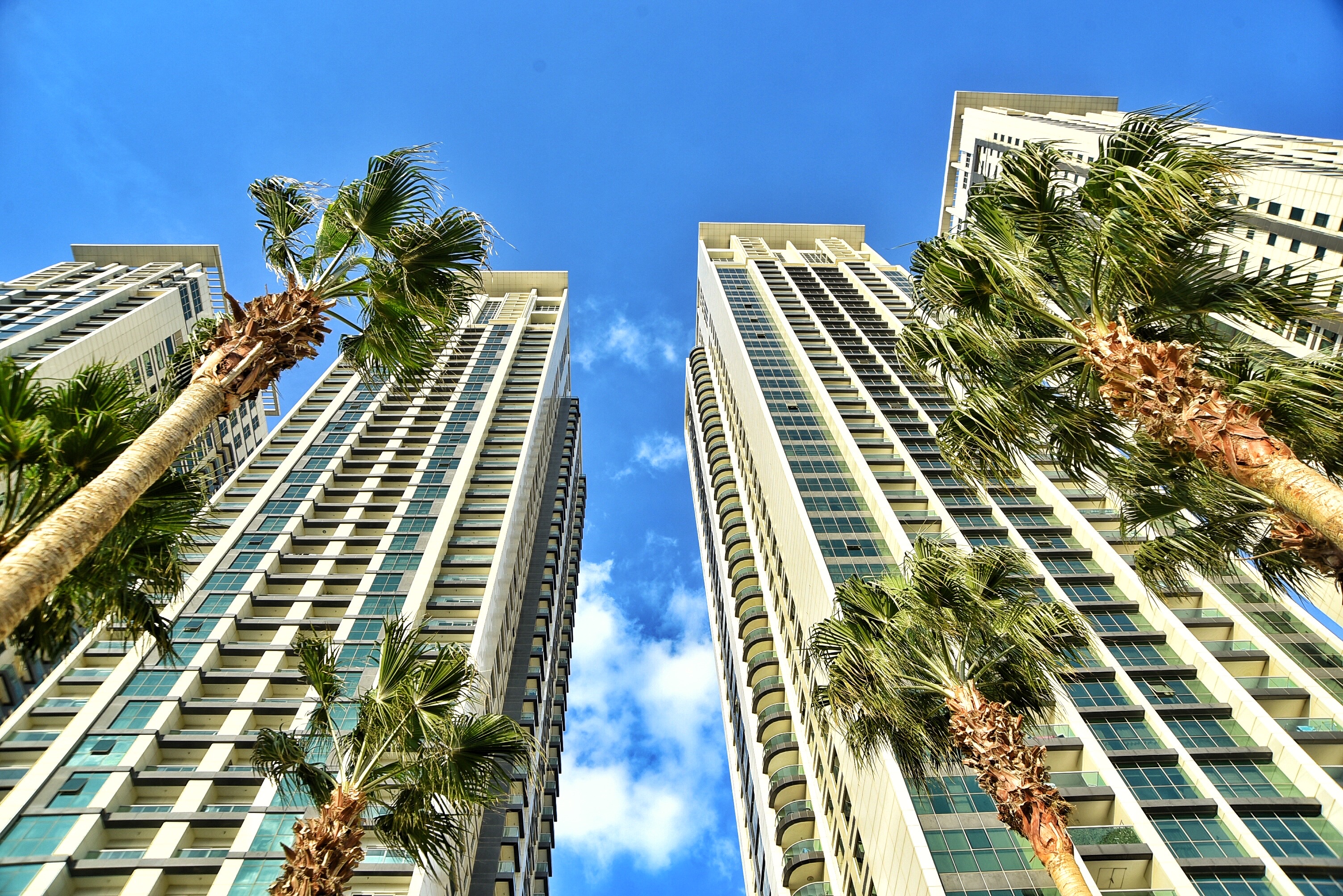 Bright daytime skyline view of Miami with modern skyscrapers and waterfront